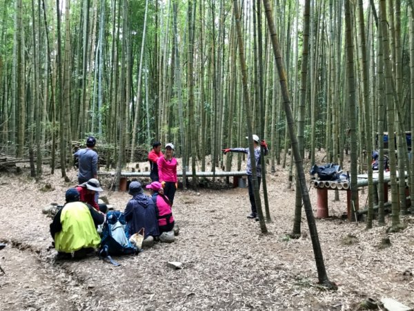 鳶嘴西稜香杉秘境走大崠山458308