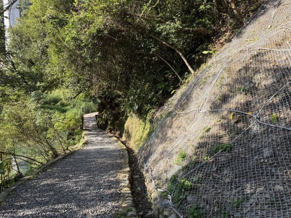 [淡蘭古道] 2026_0315 南路第二段_外按古道3016440