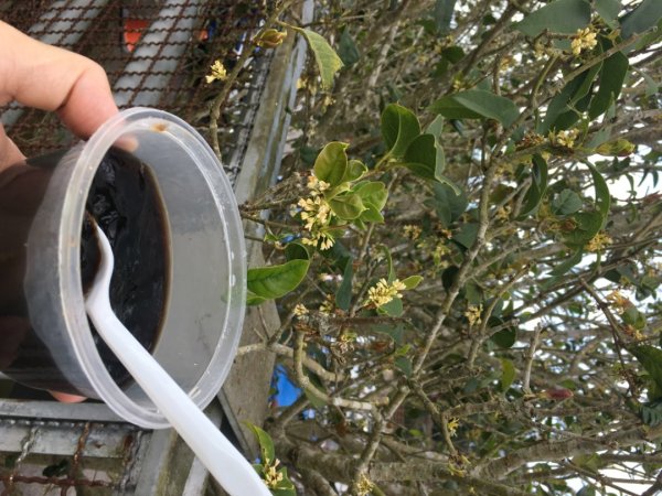 四十二份湧泉2723165