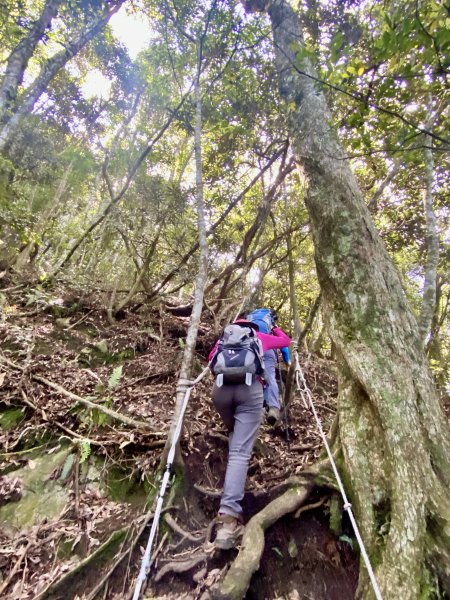 醜崠山納涼趣    2024/6/232534853