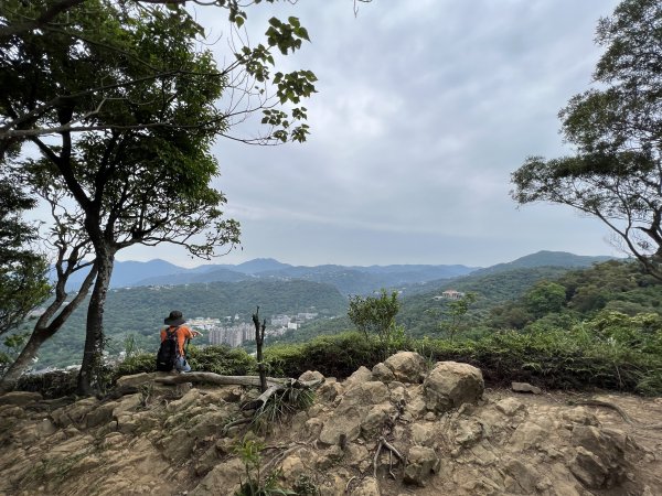 20230514-臺北大縱走第五段之巧遇藍鵲（碧山巖→劍潭捷運站）2150884