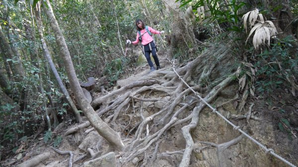 白毛山登山健行趣（中級山）1509836