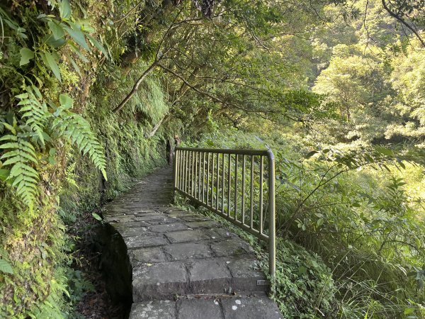 [走遍陽明山]2023_0910_大崎頭步道2279448