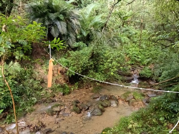 雙溪區后番子坑古道+后番子坑山+平湖東步道+大坑山+下內平林山+上內平林步道出平水2972941