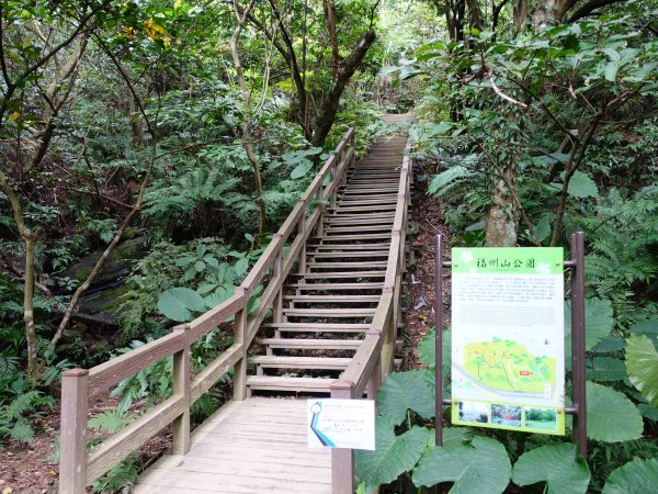 福州山、中埔山都市叢林散步去1570754