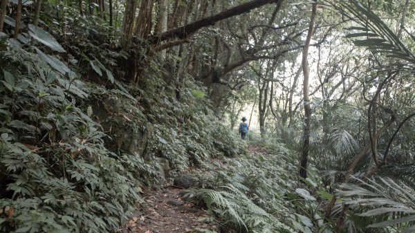馬胎古道 （馬胎一期、南坪古道、內灣老街）3073872