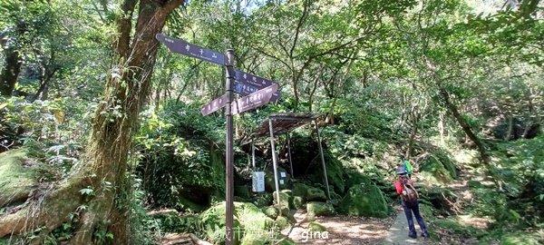 【新北平溪】平溪小三尖。 孝子山、慈母峰、普陀山、慈恩嶺O繞2801691