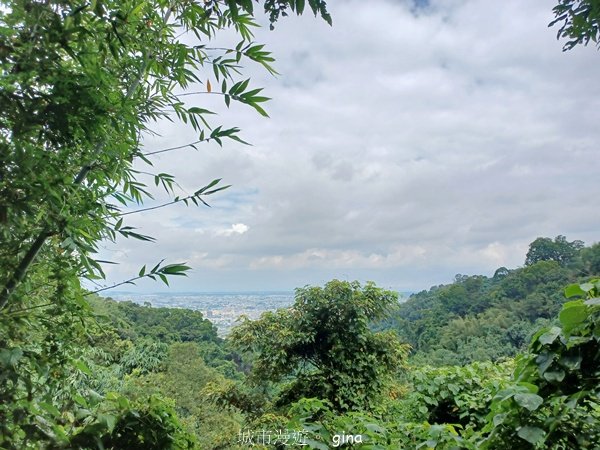 【台中潭子】爬山野餐趣。 新田登山步道x聚興山2899207