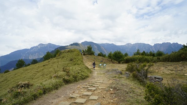 20180420鹿林山 麟趾山1495695