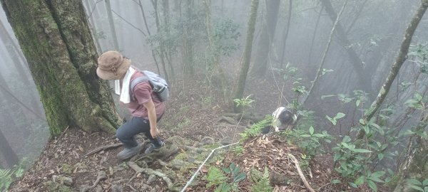 20240720_油羅山+太閣南山2555916