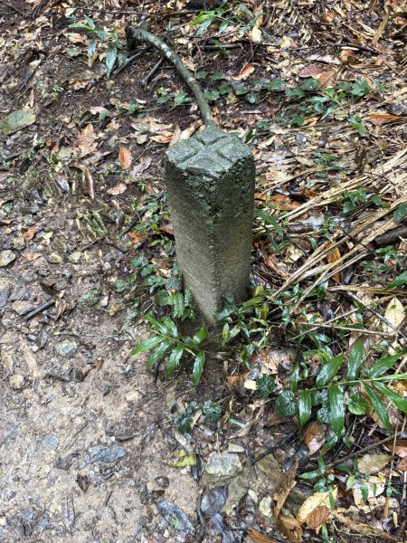 20251227尾寮山登山步道2970518