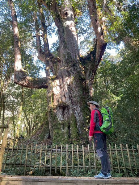 20260104司馬庫斯 &巨木群攀登2978847