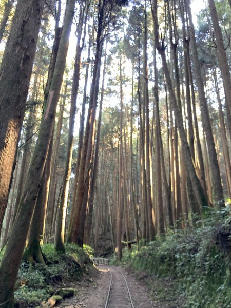 漫步特富野古道1604543