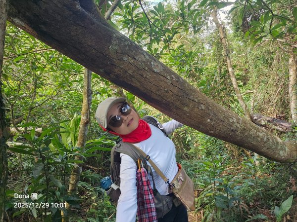 20251229石龜坑山上白石山下白石埤O走+阿姆坪2976656