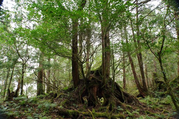 宜蘭 大同 見晴山2890632