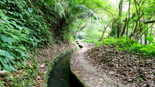 番王厝,番婆厝,王子厝,公主厝2827597