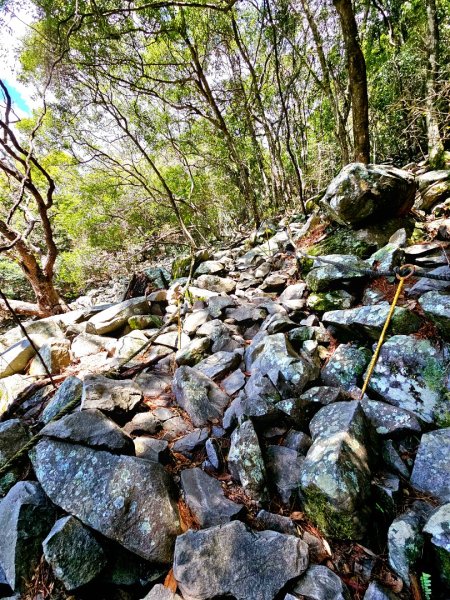 波津加山-谷關七雄(老四)3015167