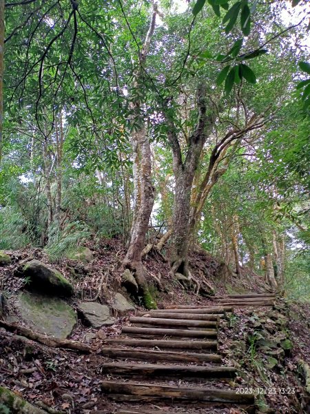 四訪苗栗的花果山-小百岳#037馬那邦山、雪霸國家公園管理處【小百岳集起來、苗栗-臺灣百大必訪步道】2394365