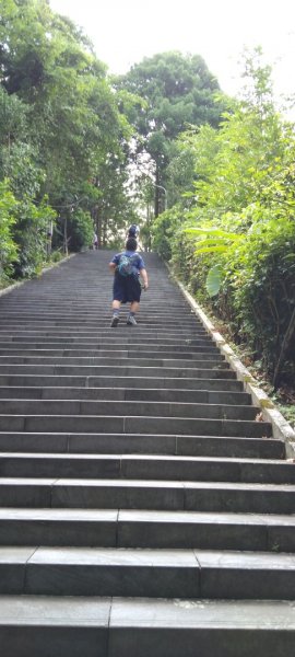 2022.8.16「台北大縱走」第七段指南宮千階步道至彩雲亭、樟山寺、政大後山1822596