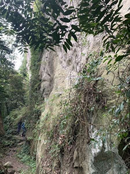 20230409 大溪打鐵寮白石山(公子登山隊)2145518