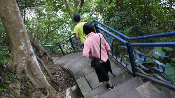 和美山登山健行趣（郊山）1587776