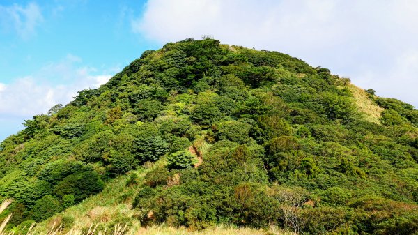 向天蝦不蝦2936820