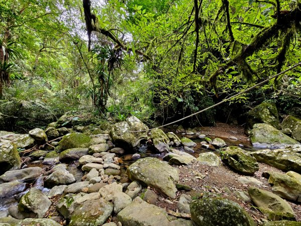 馬胎古道、馬胎二期古道、南坪古道