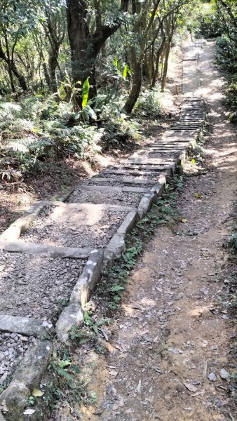 鵝角格--樟湖步道--貓空望遠亭--瓦厝2424801