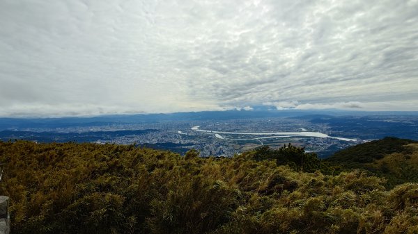 20260125 陽明山前後山健行(無極天元宮~山仔頂步道.向天池.向天山.面天山.二子坪)2998032