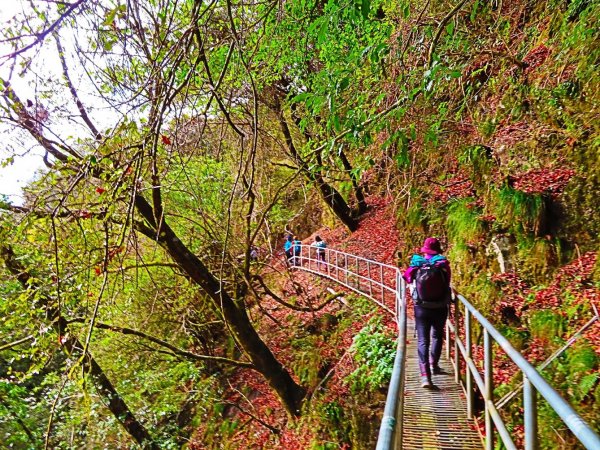 阿里山尋石山，五彩繽紛的石山引水道792560