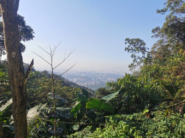 猴山岳萬壽路登山口-猴山岳-林家草厝-猴山岳山腰路-泰元農場 踽踽獨行之二2720842