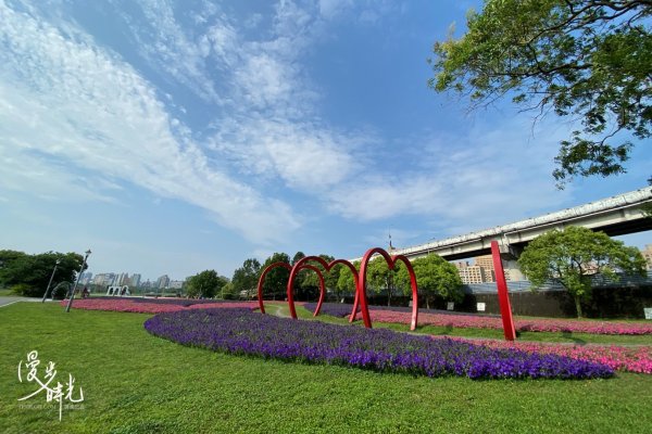 台北｜古亭河濱公園花海｜撰風旅食1654592