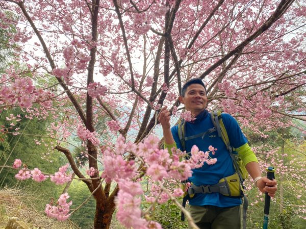 石壁木馬古道.雲嶺之丘.番子田山1303693