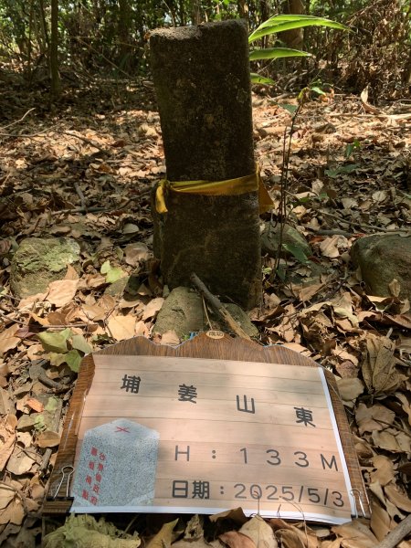 20250503屏東埔姜山東2781518