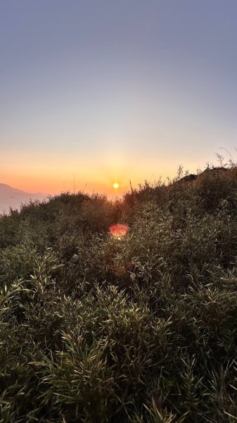 合歡東峰、小奇萊賞玉山杜鵑2542796