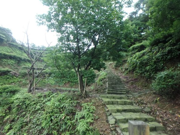 1070614茶山步道3099466