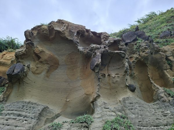 《基隆》奇石黑鳶｜和平島地質公園環山步道O繞202609183121027