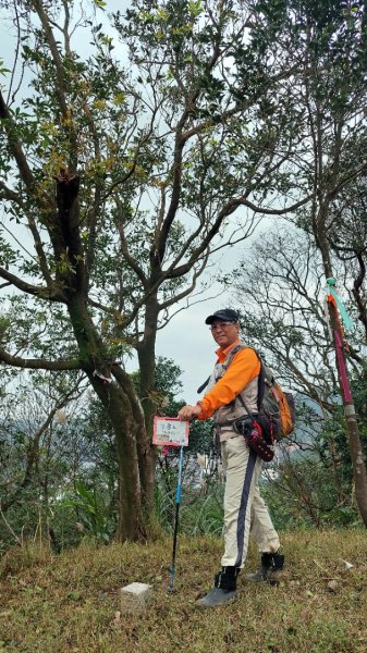 基隆八上七下縱走2785126