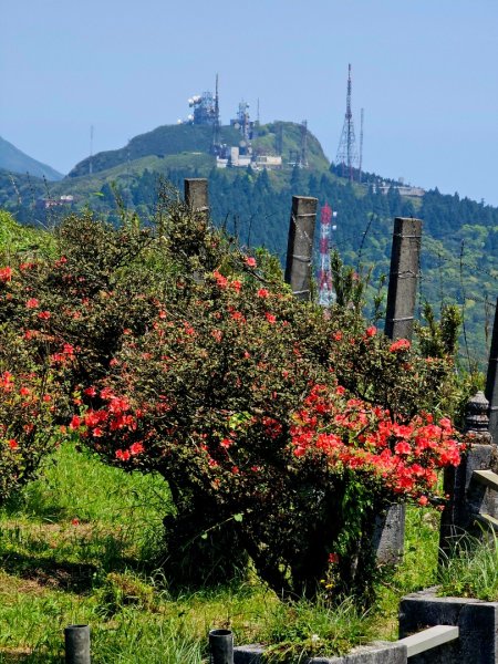 2026年臺北大縱走第二段：二子坪至小油坑3029498