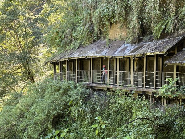 竹坑溪步道 202506282827157