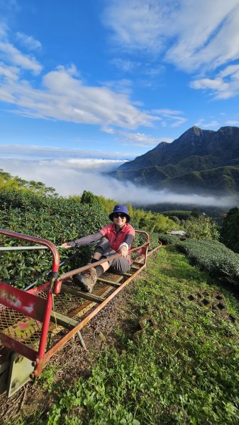 241122-慢走溪頭六連峰（大崙頭山、貓冬望山、民眾坪山、樟空崙山、志騰山、竹崙山）。美美兔沒在怕2654745