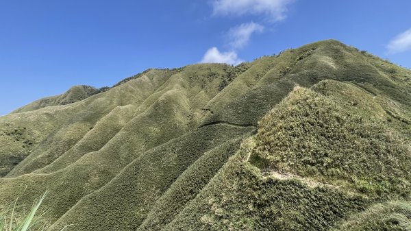 聖母登山步道（抹茶山）2458335