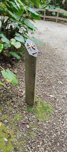 福州山公園3002482