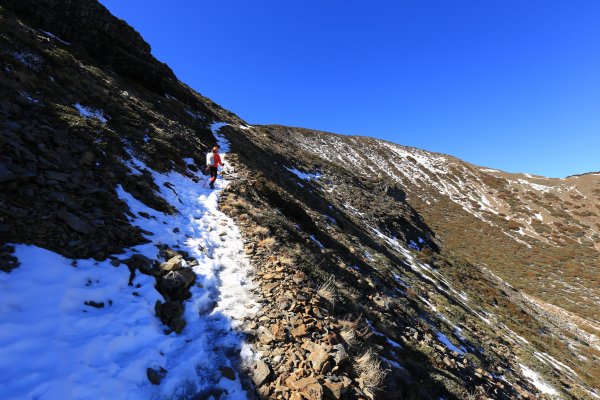 雪山‧甘木林山1250028