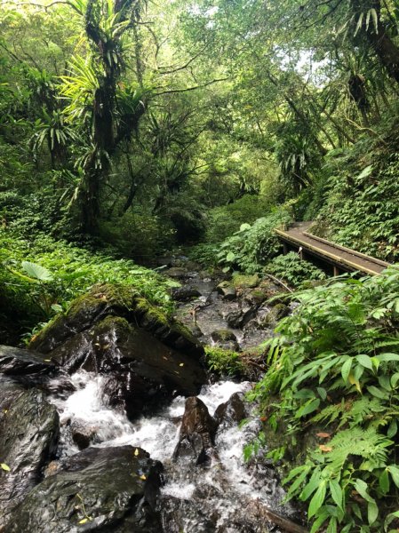 療癒系抹茶山，小百岳三角崙山，五峰旗瀑布1029850