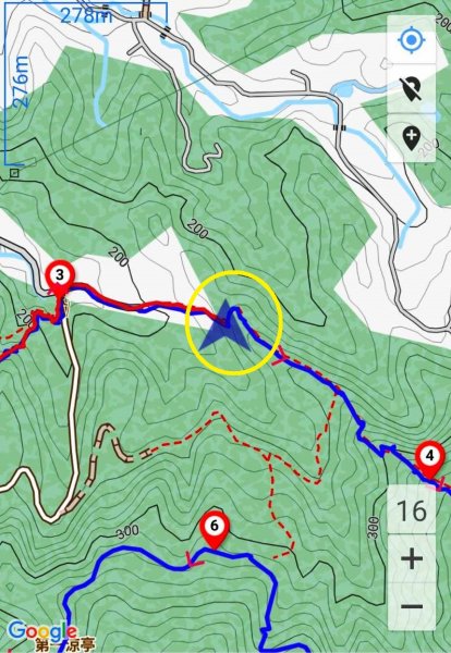 20250517 倒別牛-中坑山-飛鳳山 大O型2790393