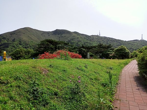 【臺北大縱走 2】【台北-臺灣百大必訪步道】湖光山色的二子坪步道、陡上陡下的大屯山西峰1338103