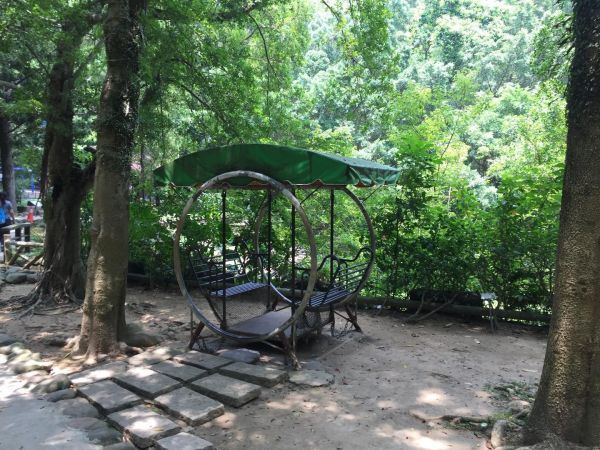 新莊青年公園淨山392585