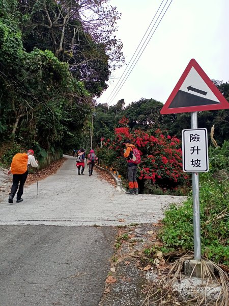 四訪苗栗的花果山-小百岳#037馬那邦山、雪霸國家公園管理處【小百岳集起來、苗栗-臺灣百大必訪步道】2394312