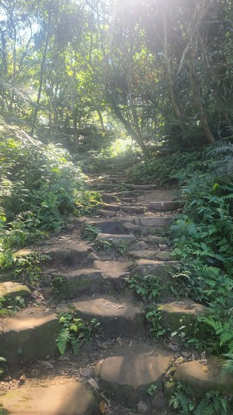 2026-0114溪州山小百岳2984877